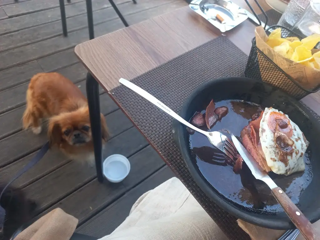 Catarina Mota de Sá_Tasquinha da Mitas_Tomar_recensione