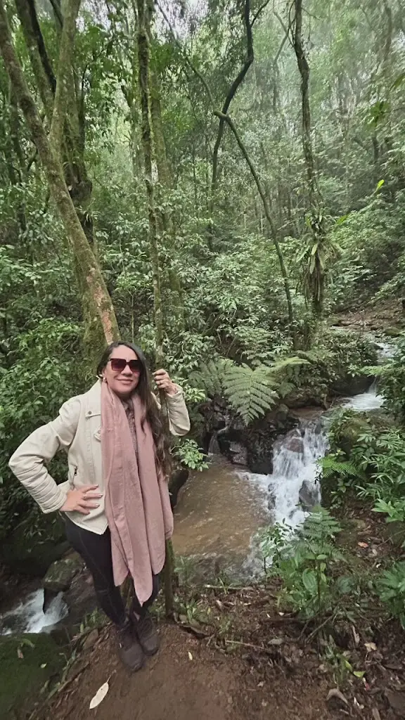 Moustache Tapas Tomar_Tomar_slider_image_2