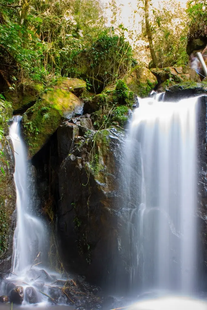 Moustache Tapas Tomar_Tomar_slider_image_3