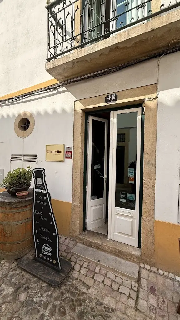 Наталья Евдокимова_Clandestino_Tomar_recensione