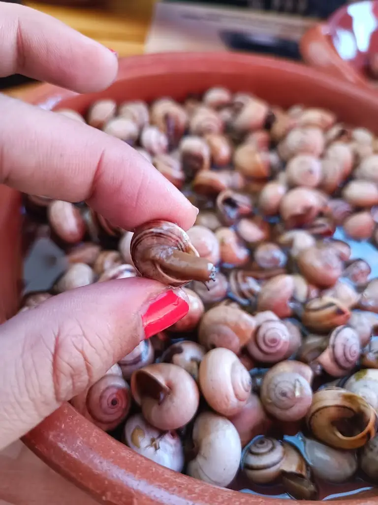 Menu_Taverna d'Talha_Tomar_immagine_7