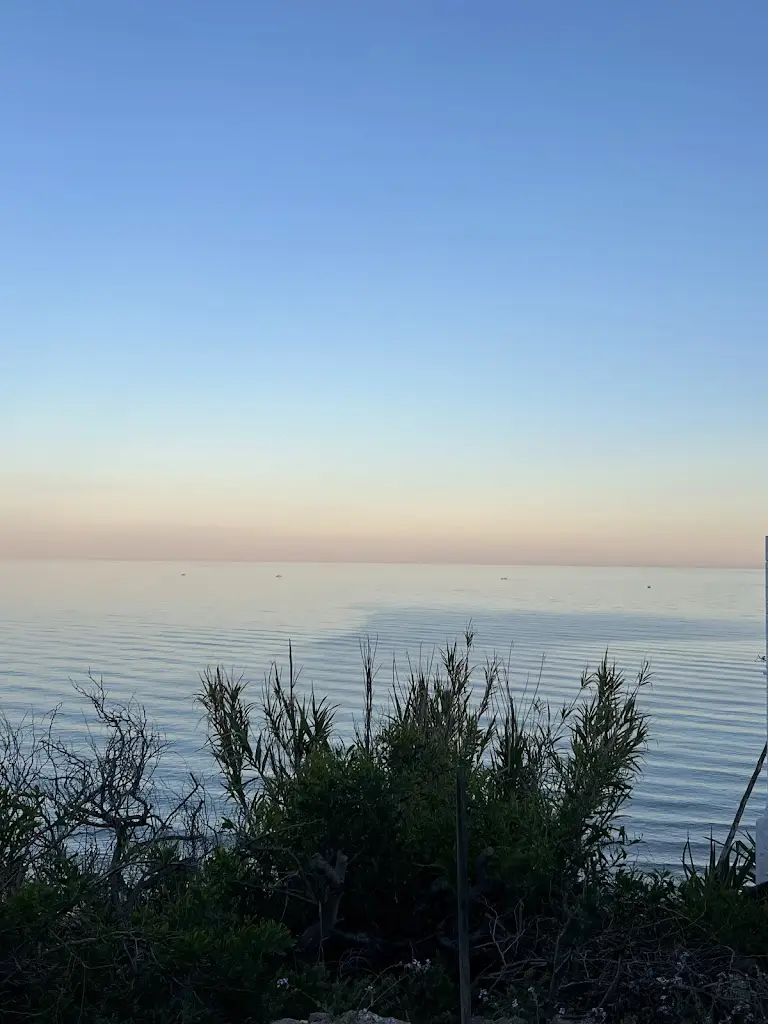 Peter Davies_Restaurante Da Lénia_Grândola_recensione