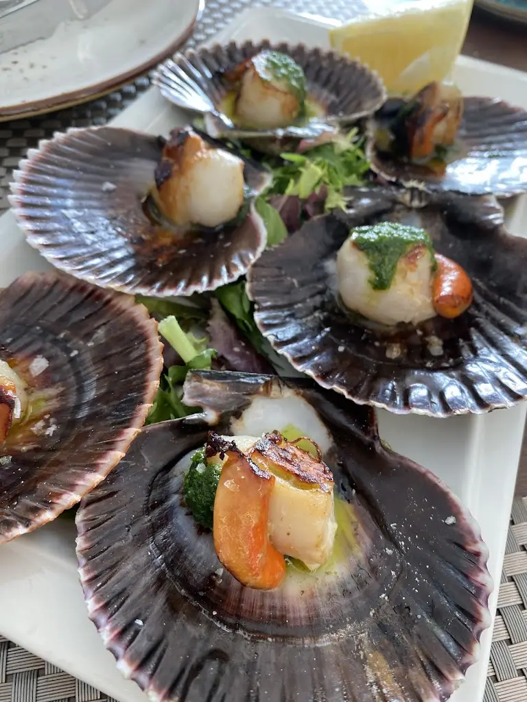 Menu_Borda d'Água_Costa de Caparica_immagine_8