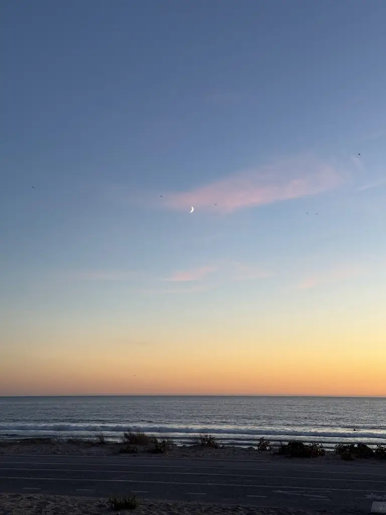 Mafalda Cardoso_Zama Beach Club_Costa de Caparica_review