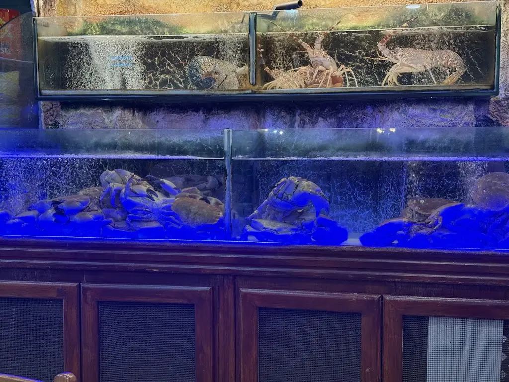 Pritish_Marisqueira Atlântico_Costa de Caparica_reseña