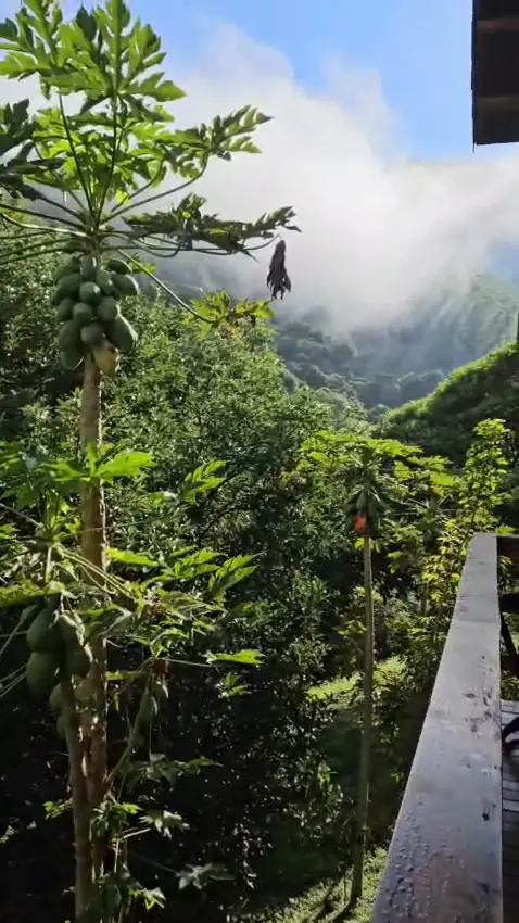 Miguel Dos Santos_Tascão - Vinhos e Petiscos_Pinhal Novo_review