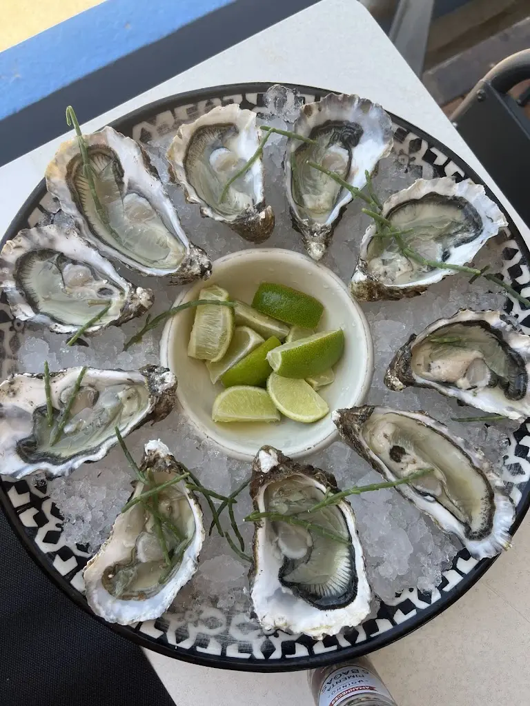 Olha Ishchenko_Sentido do Mar_Caparica_recensione