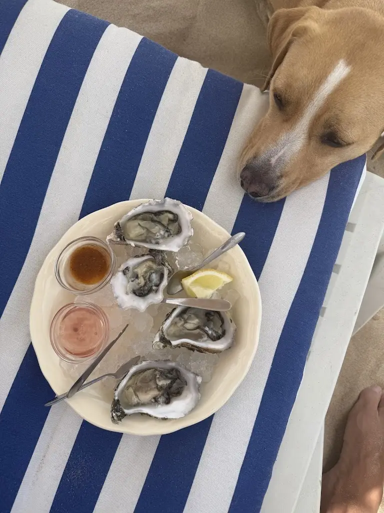 Kata Burák_Myra Ostraria_Caparica_recensione