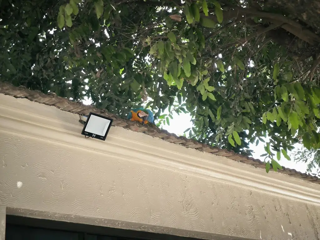 Julia Matos_Restaurante O Estádio_Lavradio_recensione