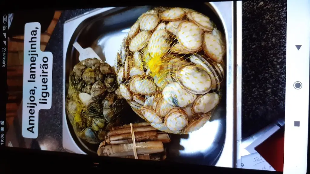 Paulo Silva_PetisKando_Lavradio_review