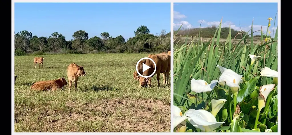 Alma Nomada Porto Covo_Porto Covo_slider_image_2