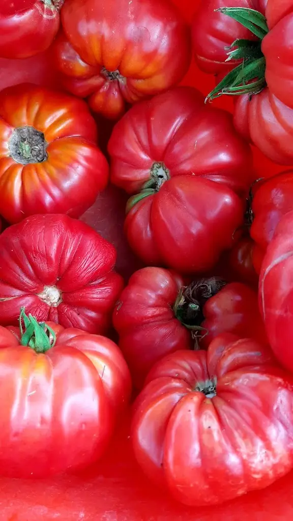 Menu_A-da-Patrícia_Porto Covo_immagine_4