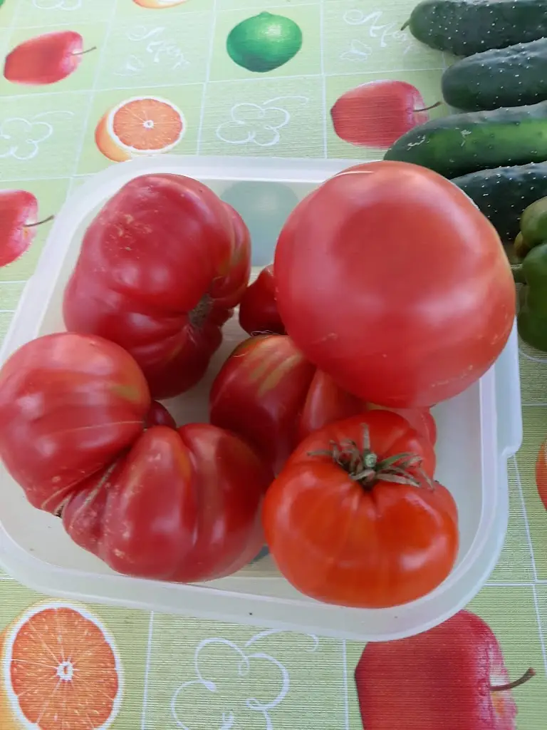 Menu_A-da-Patrícia_Porto Covo_immagine_6