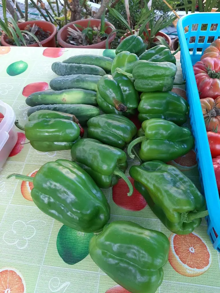 Menu_A-da-Patrícia_Porto Covo_immagine_8