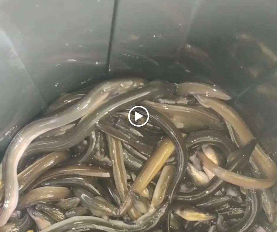 Faz-te Esperto_Santo André_slider_image_2