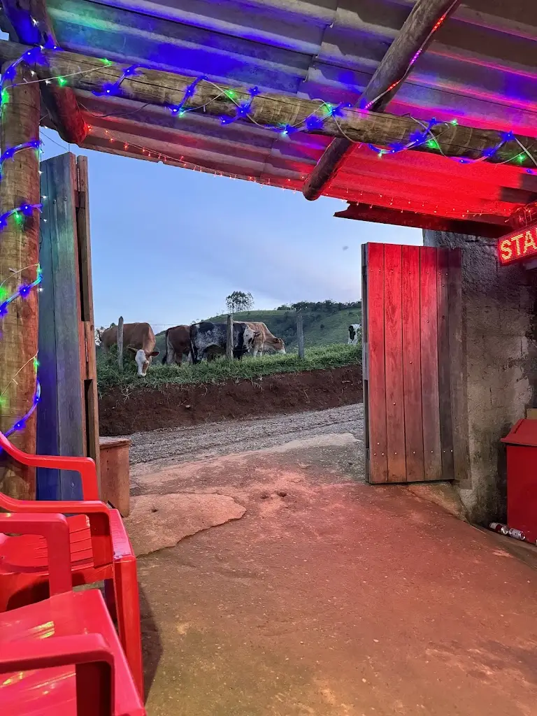 Miglė Cibulskaitė_OVO Coffee_Corroios_review