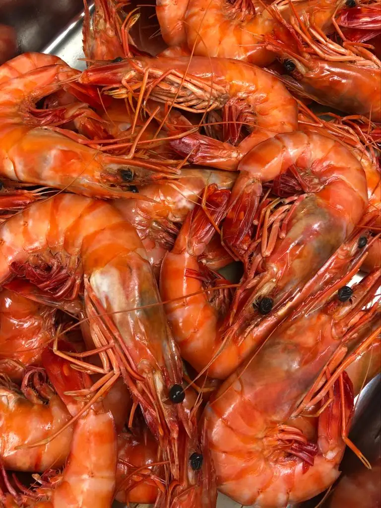 Menü_Marisqueira Vila Rio - Snack & Shellfish_Rio Meão_Bild_3