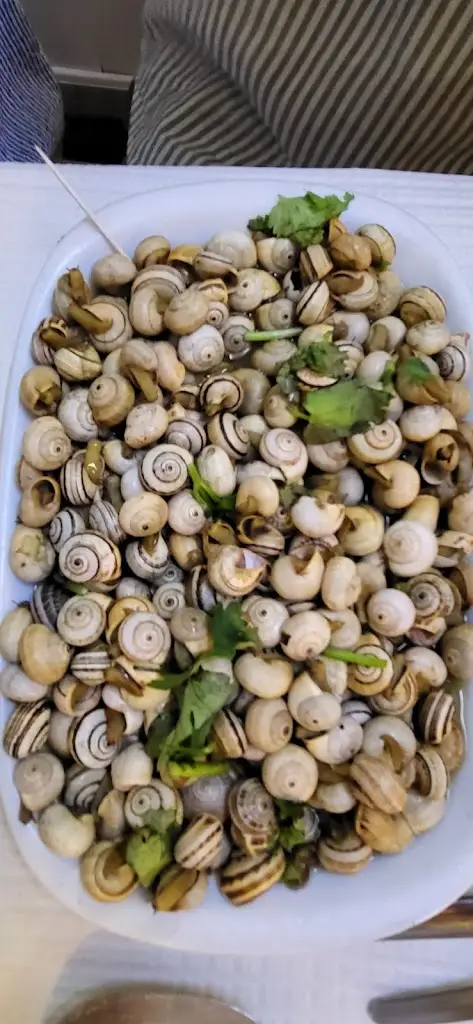 Menu_O Rodinhas_Sesimbra_immagine_9