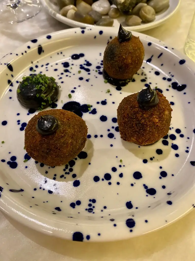 Ghazaleh Eghlima_O Zagaia_Sesimbra_recensione