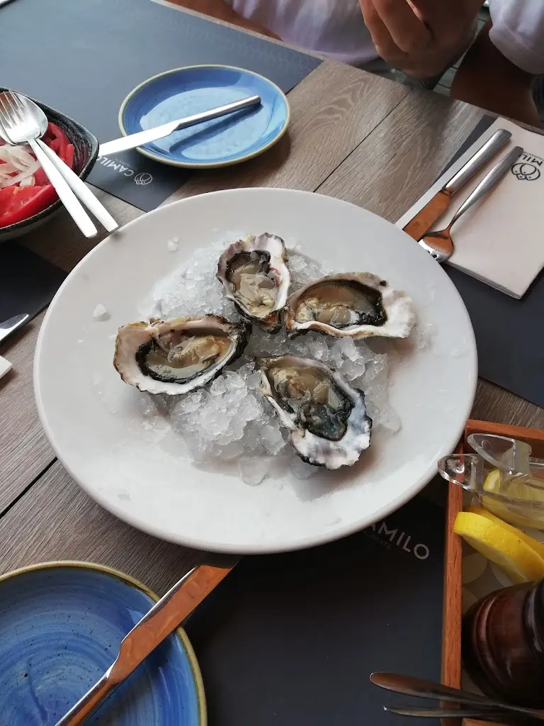 Menu_O Camilo_Piedade_imagen_6