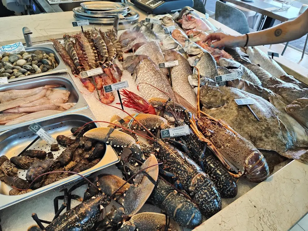 Menu_O Camilo_Piedade_imagen_9