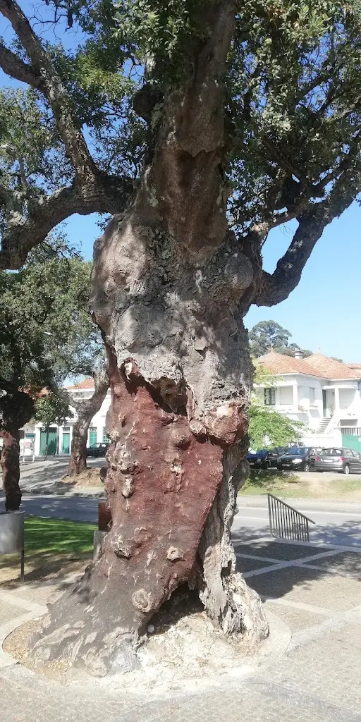 Adega Santo António ristorante a Rio Meão