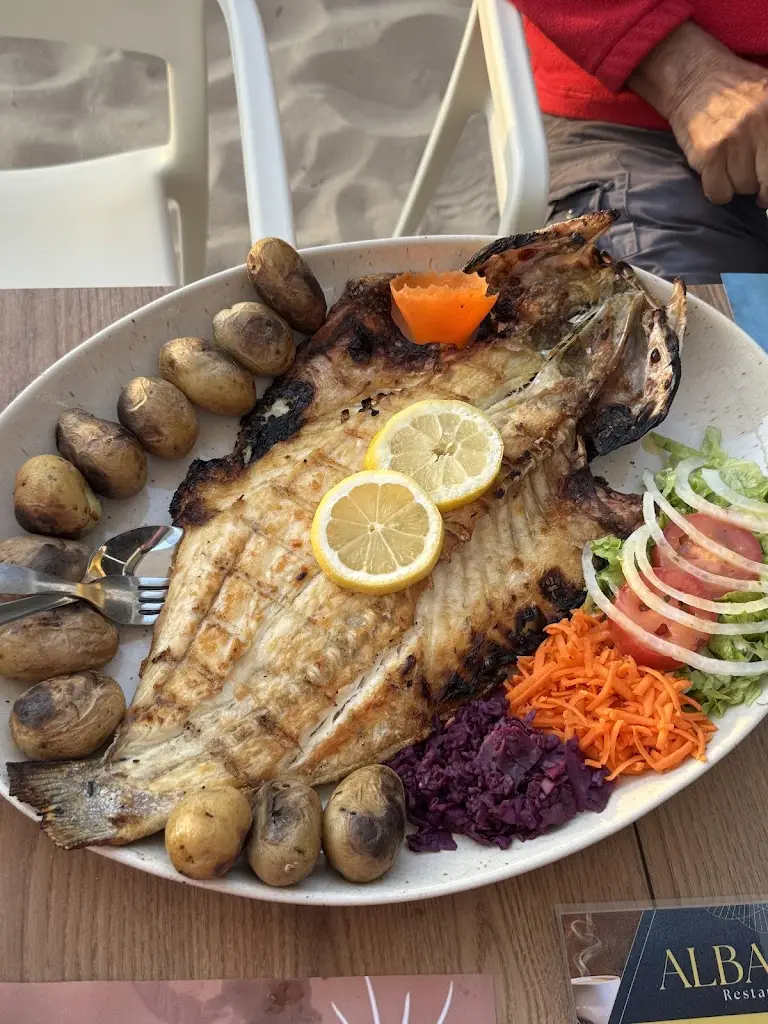 Marie-bulle Baladi_Albatroz_Trafaria_review