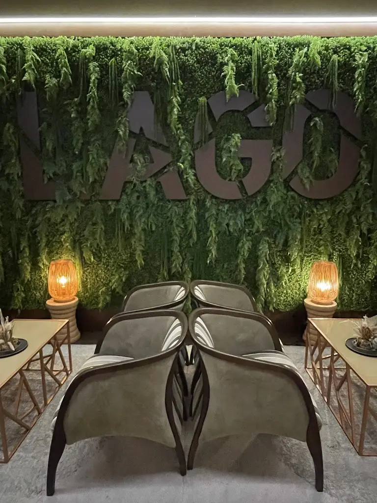 Mikhael_Lago_Rio Meão_review