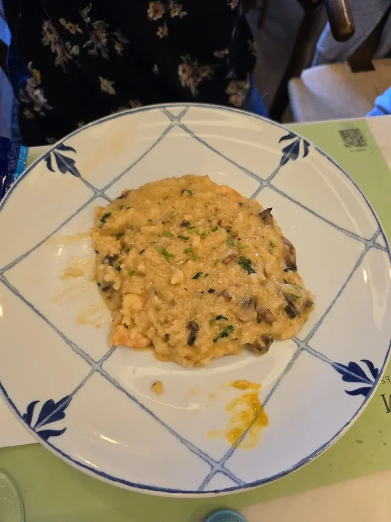 Kinan Rostom_Maria Alecrim_Sobreda_review