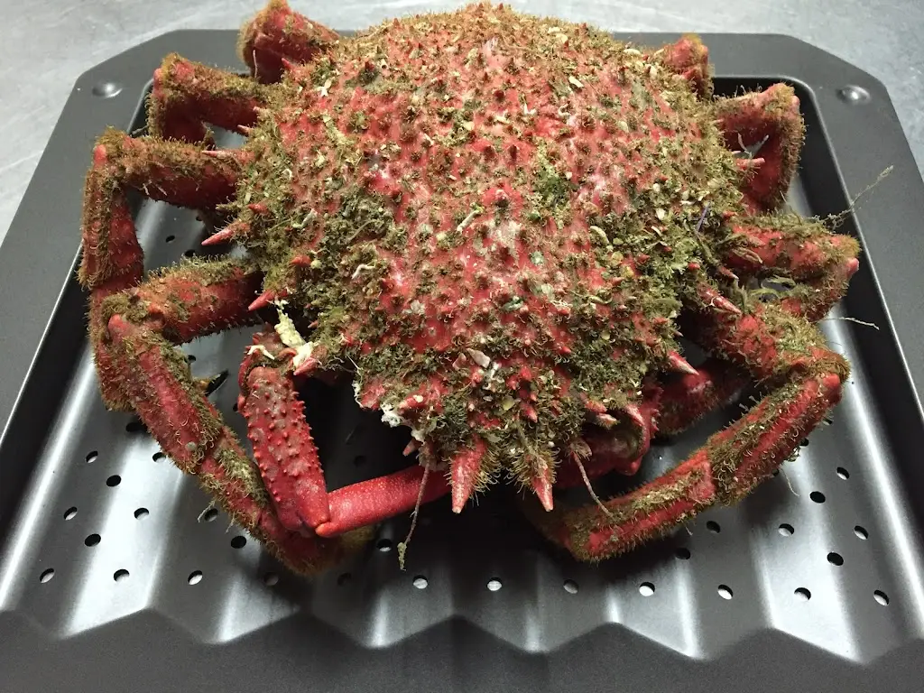 Menu_O Mestre Inácio_Sines_immagine_5