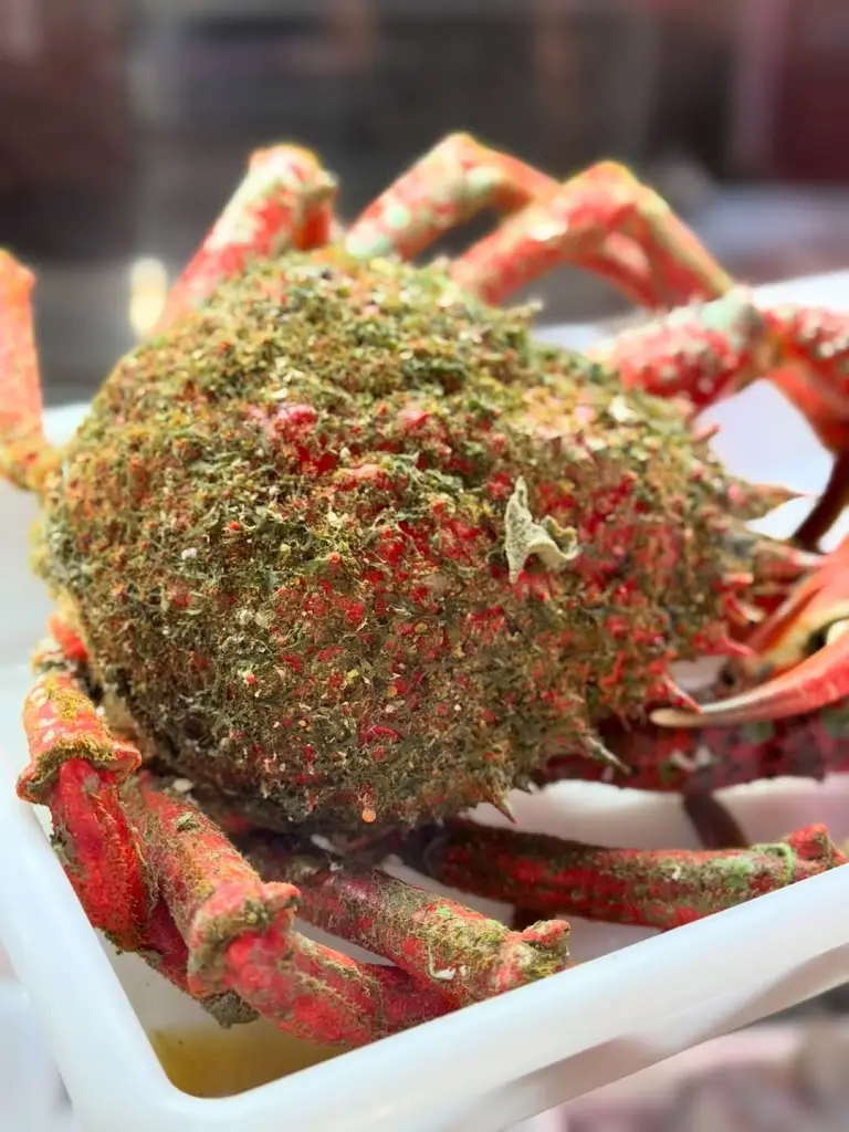 O Mestre Inácio_Sines_slider_image_3