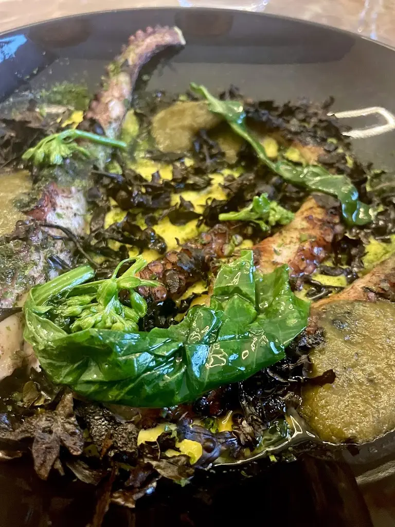 Linda Eklov_Volta do Mar_Sines_review