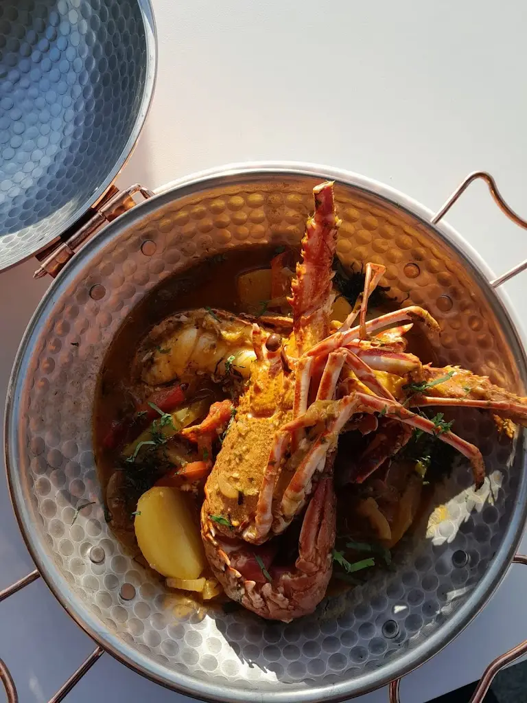 Julia Bond_Volta do Mar_Sines_review