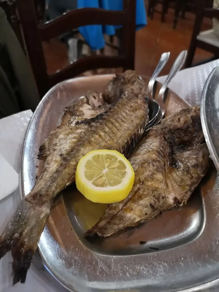 Luca Paoletti_Bom Petisco_Sines_recensione