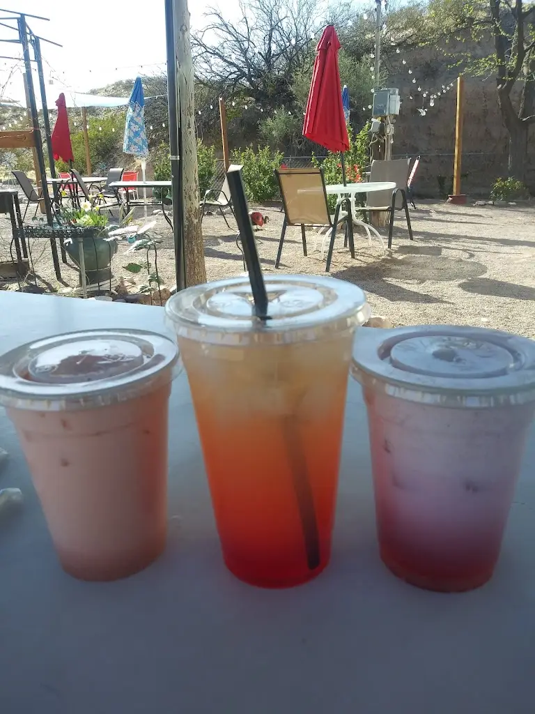 Menu_Magic Cactus_Sines_immagine_8