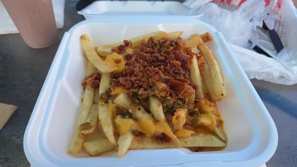 Filipa Peleja_Magic Cactus_Sines_recensione