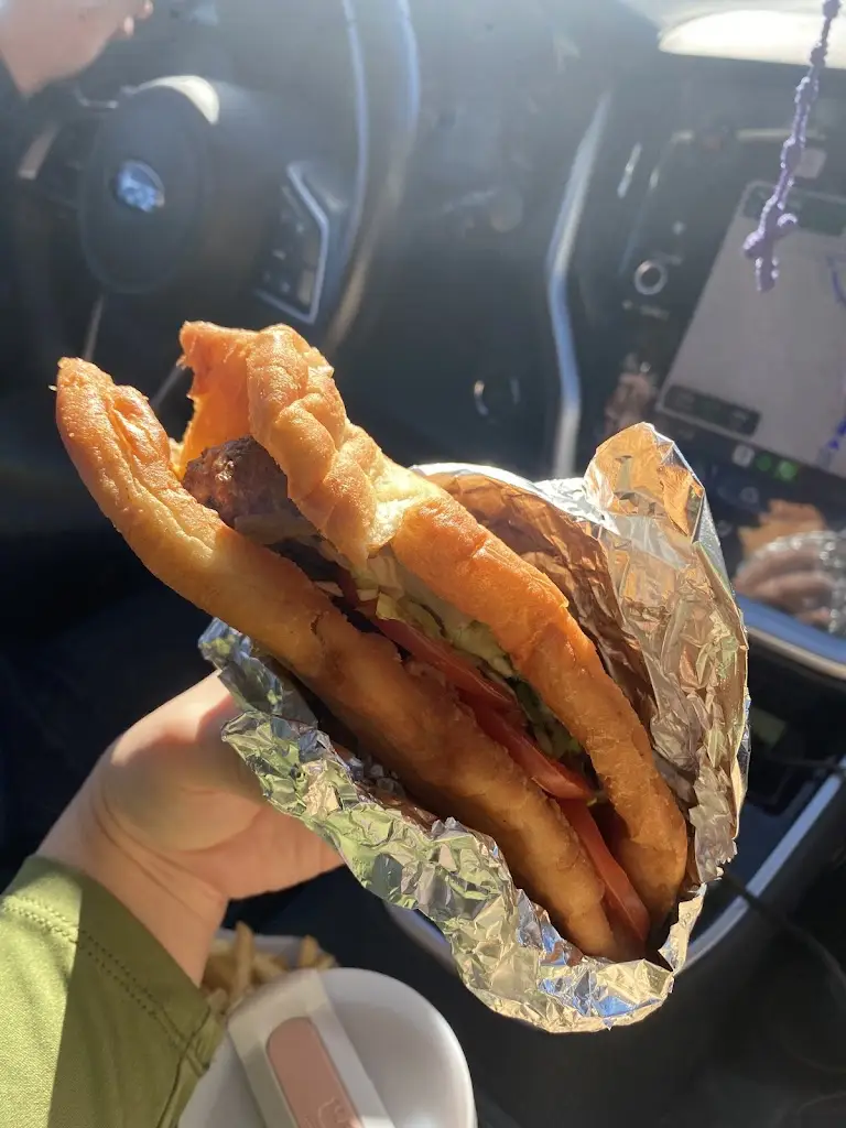 Albrecht Felgner_Magic Cactus_Sines_recensione