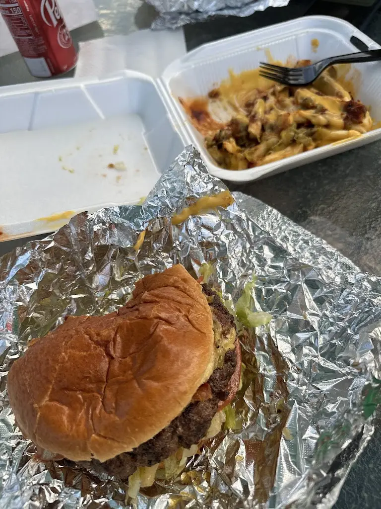 ninel bogdan_Magic Cactus_Sines_recensione