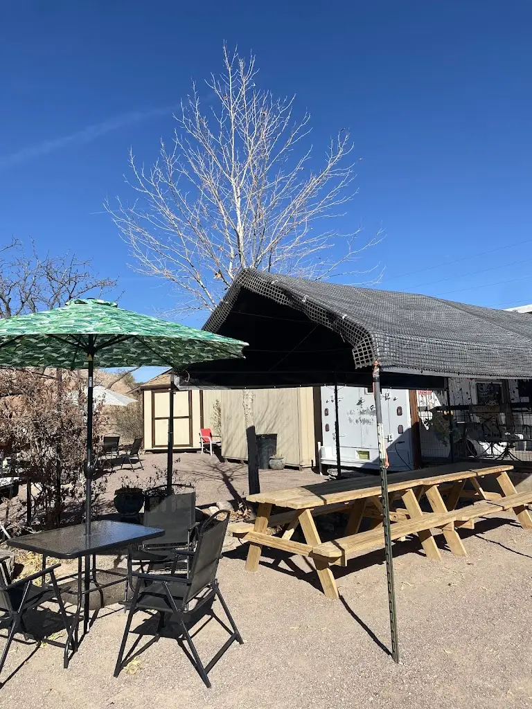 Magic Cactus_Sines_slider_image_1