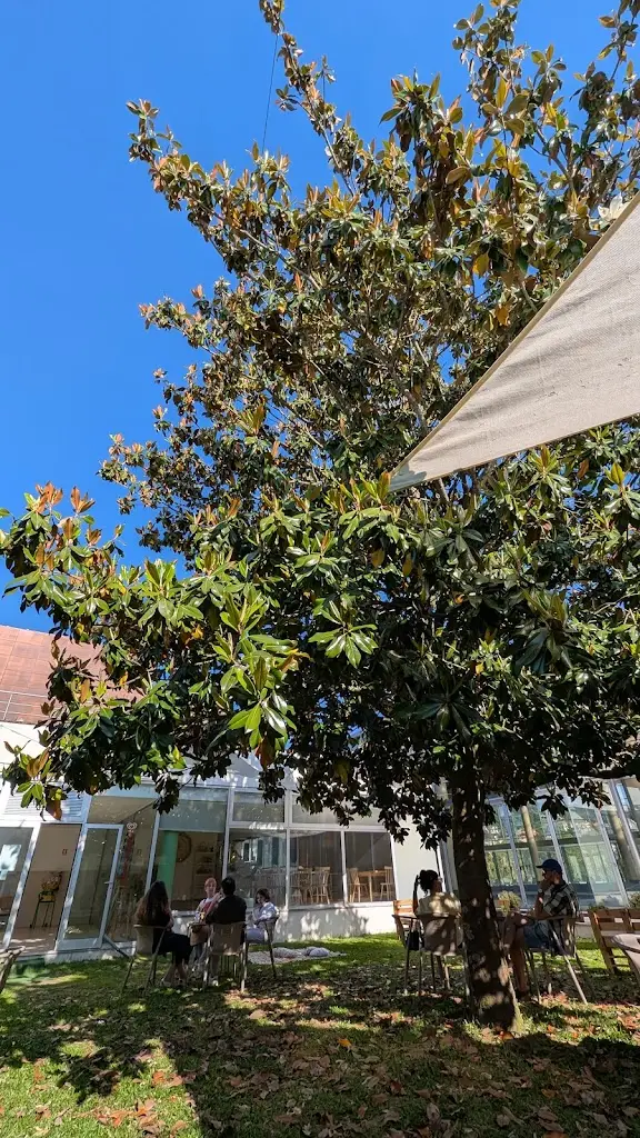 Carlos Villegas_Grão Natural_Arcos de Valdevez_recensione