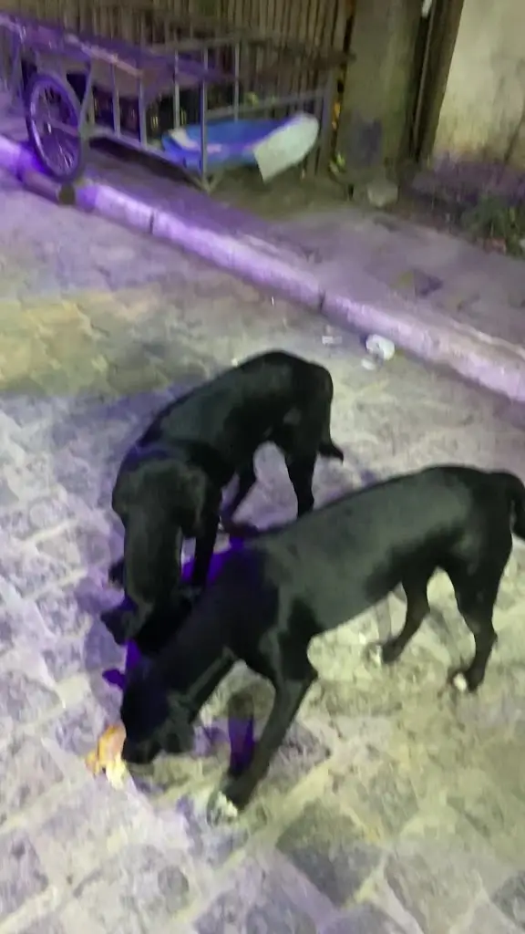 Flume Restaurante & Bar_Arcos de Valdevez_slider_image_2