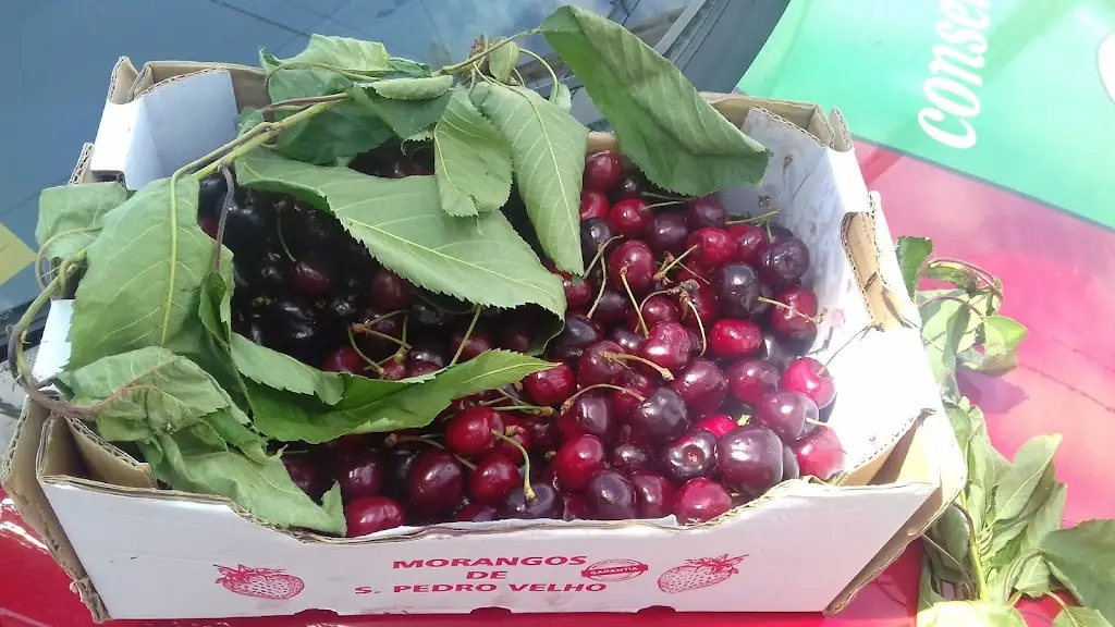 Menu_Restaurante Brites_Favaios_immagine_8