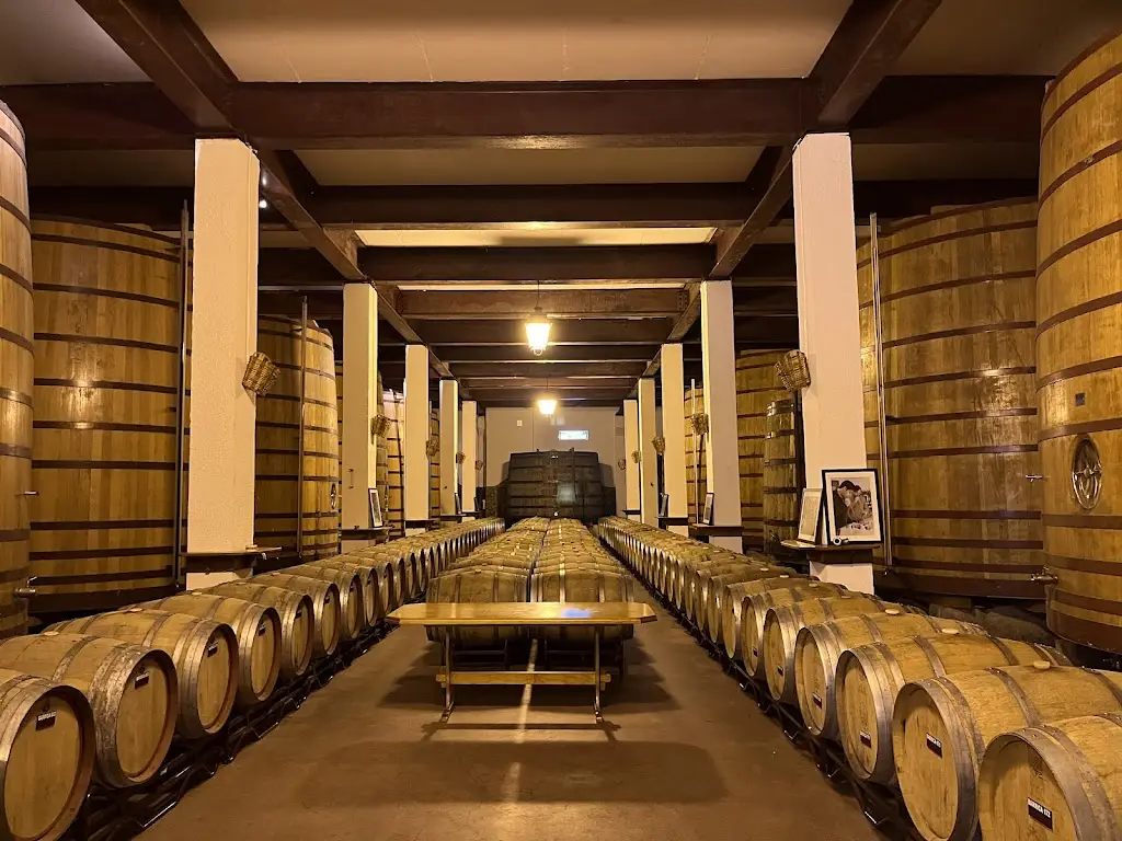 Adega Cooperativa de Favaios ristorante a Favaios