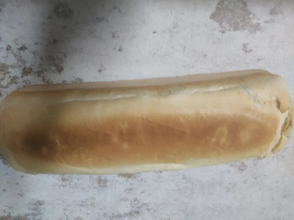 Menu_Pão de Favaios_Favaios_immagine_9