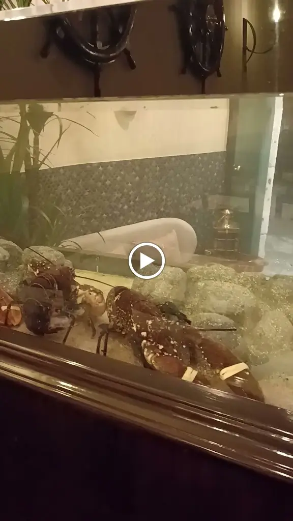 O Pescador_Viana do Castelo_slider_image_2