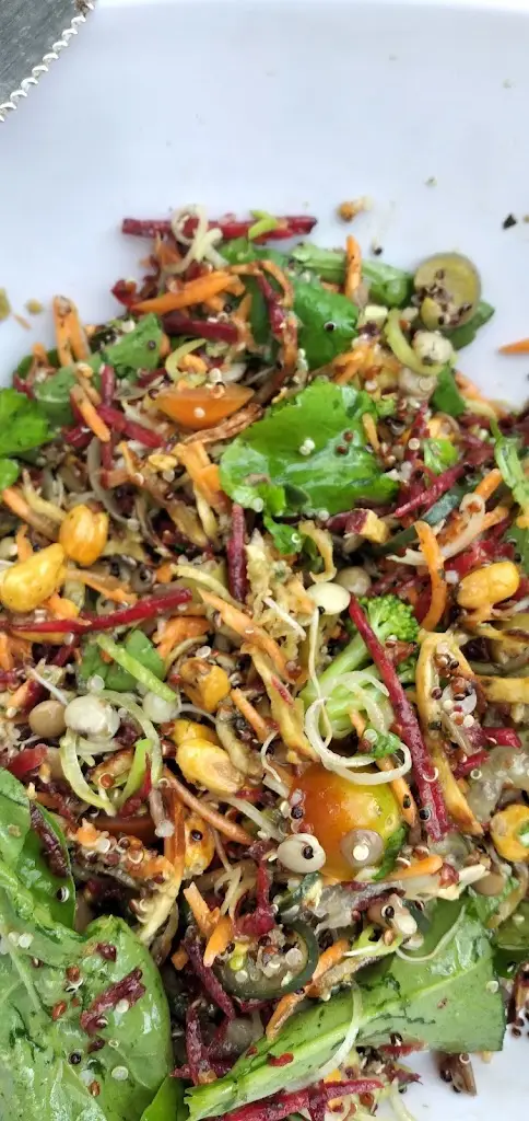 Menu_Maestro Sushi&Burguer_Monção_immagine_6