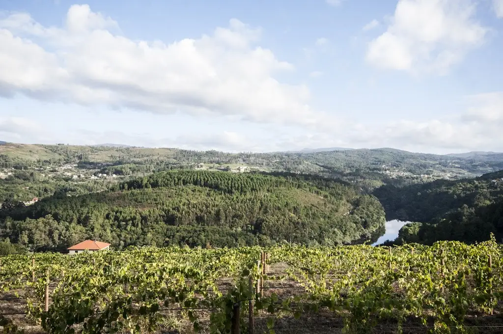 Alvarinho Encostas de Melgaço_Melgaço_slider_image_2