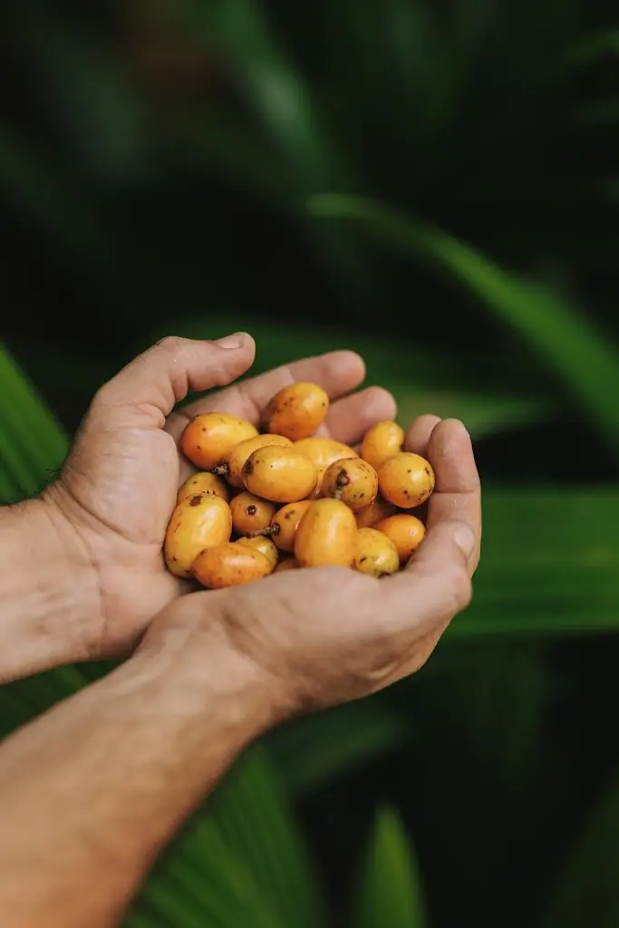 Menu_Poe-te fino Bistro_Ponte da Barca_imagen_8