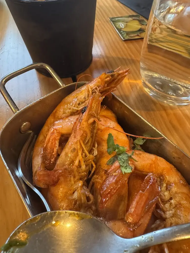 Andre Jordão_Mãe Aida_Ribeira de Pena_review