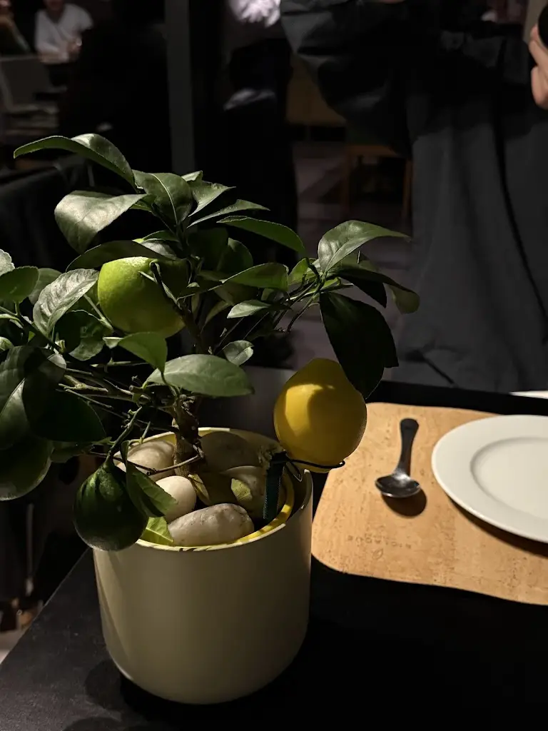 Marie Latte_Biclaque Origens_Ribeira de Pena_recensione